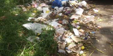 Sampah dibuang di Pinggir Jalan Jalur Tiga Merangin eks Taman PKK, Kadis LH : Masyarakat diminta Kesadaran Buang di Bak Sampah