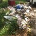 Sampah dibuang di Pinggir Jalan Jalur Tiga Merangin eks Taman PKK, Kadis LH : Masyarakat diminta Kesadaran Buang di Bak Sampah