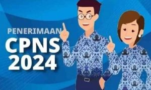 Empat Hari Jelang ditutup, Pendaftar CPNS 2024 Tenaga Tehnis di Kabupaten Merangin Terus Bertambah, Ini Jumlahnya 