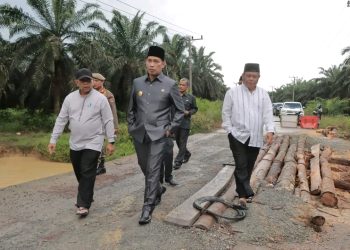 Pjs Bupati Tanjab Barat Tinjau Jalan Rusak di Dua Desa