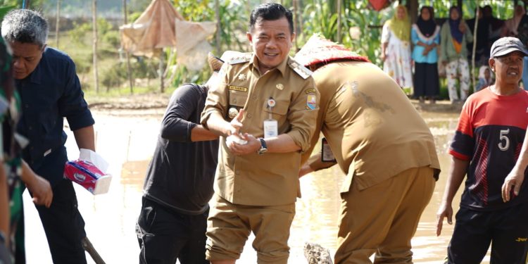 Al Haris: Menanam Padi Aksi Nyata Perkuat Ketahanan Pangan