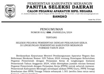 Panselda Seleksi PPPK Kabupaten Merangin 2024 Umumkan Formasi dan Syarat-Syarat bagi Pelamar