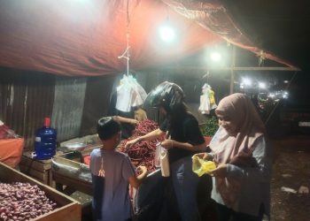 Harga Cabe di Kabupaten Merangin turun, Bawang Putih dan Merah stabil, Tomat naik 