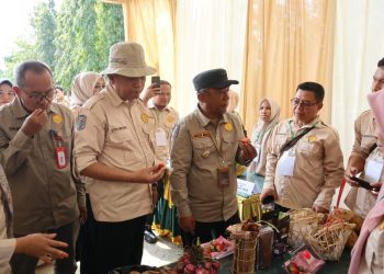 Dinas Tanaman  Pangan dan Holtikultura Merangin Gelar Temu Teknis Penyuluh Pertanian 2024