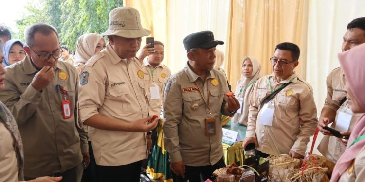 Dinas Tanaman  Pangan dan Holtikultura Merangin Gelar Temu Teknis Penyuluh Pertanian 2024