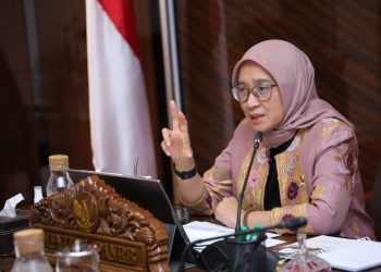 Seleksi PPPK Periode II, Menteri PAN-RB :  Instansi Pemerintah Agar Petakan dan Konfirmasi Data Non-ASN 