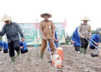 Pemkab Tanjab Barat Dukung Ketahanan Pangan Nasional melalui Kegiatan Tanam Serentak Jagung