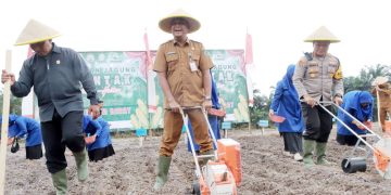 Pemkab Tanjab Barat Dukung Ketahanan Pangan Nasional melalui Kegiatan Tanam Serentak Jagung
