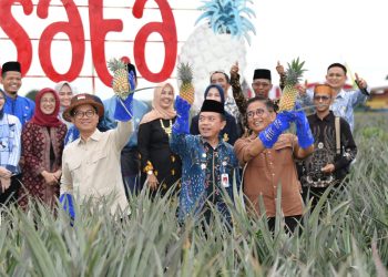Menteri Desa PDT Bakal Ekspor Nanas asal Muaro Jambi ke Eropa