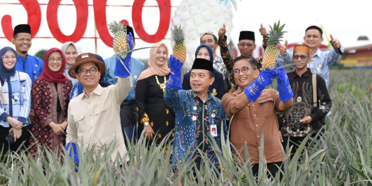 Menteri Desa PDT Bakal Ekspor Nanas asal Muaro Jambi ke Eropa