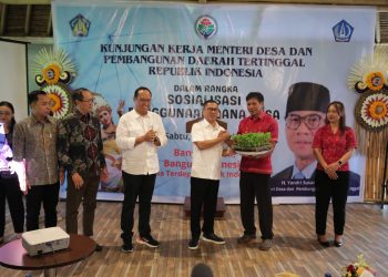 Tidak Ada Impor Pangan 2025, Mendes Yandri: Peluang Besar untuk Kemajuan Desa