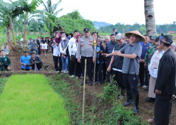 Genjot Swasembada Pangan, Mendes Yandri Dorong Desa Maksimalkan Lahan