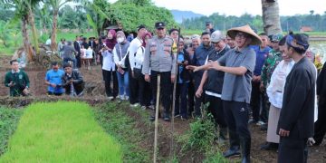Genjot Swasembada Pangan, Mendes Yandri Dorong Desa Maksimalkan Lahan