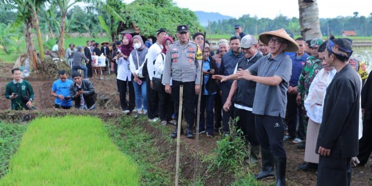 Genjot Swasembada Pangan, Mendes Yandri Dorong Desa Maksimalkan Lahan