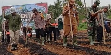 Percepat Swasembada Pangan 2025, Pj Bupati Merangin dan Kapolres Tanam Jagung Serentak 