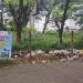 Sampah dibuang Masih Sembarangan, Dinas LH Merangin Minta Kesadaran Masyarakat