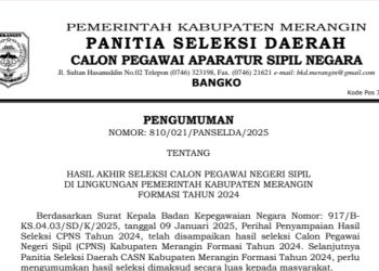 Panselda Umumkan 252 Peserta Lulus Seleksi CPNS Kabupaten Merangin 2024, Masa sanggah sampai 15 Januari 2025