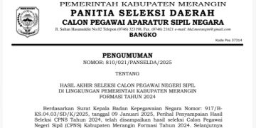 Panselda Umumkan 252 Peserta Lulus Seleksi CPNS Kabupaten Merangin 2024, Masa sanggah sampai 15 Januari 2025