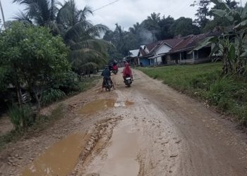 Kondisi Jalan dari Desa Beluran Panjang sampai Desa Rantau Limau Manis Kecamatan Tabir Ilir Merangin Memprihatinkan
