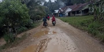 Kondisi Jalan dari Desa Beluran Panjang sampai Desa Rantau Limau Manis Kecamatan Tabir Ilir Merangin Memprihatinkan