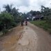 Kondisi Jalan dari Desa Beluran Panjang sampai Desa Rantau Limau Manis Kecamatan Tabir Ilir Merangin Memprihatinkan