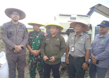 Panen Perdana Padi di Desa Rawa Medang, Bupati Tanjab Barat Dorong Peningkatan Ketahanan Pangan