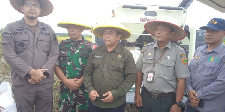 Panen Perdana Padi di Desa Rawa Medang, Bupati Tanjab Barat Dorong Peningkatan Ketahanan Pangan