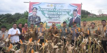 Wakil Bupati Merangin Khafid Moein  Bersama Kapolres Panen Raya Jagung