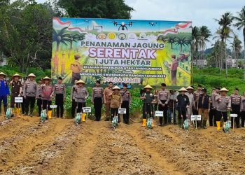 Gubernur Jambi Hadiri Penanaman 1 Juta Hektar jagung Serentak Seluruh Indonesia