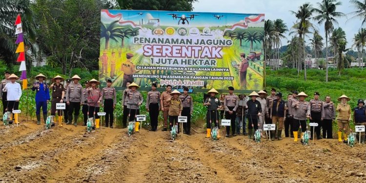 Gubernur Jambi Hadiri Penanaman 1 Juta Hektar jagung Serentak Seluruh Indonesia