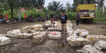 Harga Getah Karet di Kabupaten Merangin Naik, Ini Harapan Petani dan Tengkulak