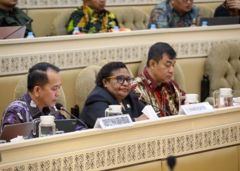 Wamendagri Ribka Jelaskan Upaya Kemendagri Awasi Pengelolaan Keuangan Daerah 