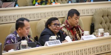 Wamendagri Ribka Jelaskan Upaya Kemendagri Awasi Pengelolaan Keuangan Daerah 