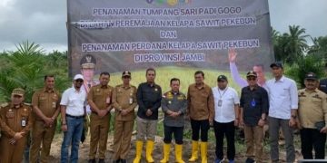 Sekda Muaro Jambi Dampingi Kementan Tanam Padi Gogo di Lahan Sawit Rakyat