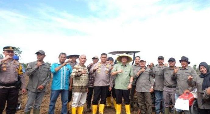 Bupati Muaro Jambi Melaksanakan Penanaman Jagung Hibrida di Lahan Kelompok Tani Gelora