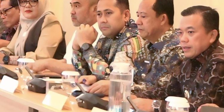 Audensi dengan Menkes RI, Bupati Merangin Dorong Puskesmas Jadi RS Type D