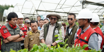 Gubernur Al Haris Dampingi Wamenhut Kunjungi PT. WKS dan Manggala Agni