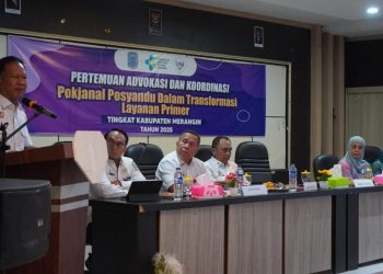 Wabup Merangin Khafidh : Kini Posyandu Lakukan Pemberdayaan Masyarakat