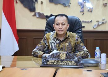 Dirjen Keuangan Daerah Fatoni Sebut Optimalisasi Pendapatan dan Efisiensi Belanja Jadi Kunci Pengelolaan Keuangan Daerah 