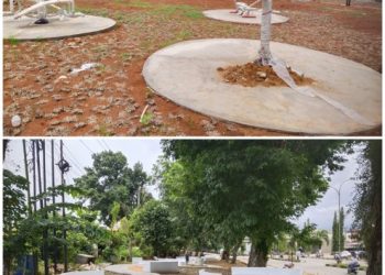 Kadis LH Merangin Syafrani : Untuk Menambah Ruang Terbuka Hijau Taman Baru dibangun dibeberapa Lokasi 