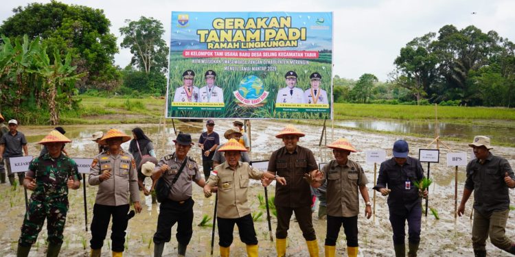 Bupati M. Syukur Dampingi Gubernur Al Haris Tanam Padi dan Salurkan Bantuan BiosCF ISFL di Desa Seling 