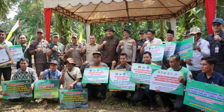 Luas Tanam Sawah di Merangin Naik 11 Persen, Bupati M. Syukur Pacu Bantuan Alsintan dan Infrastruktur