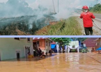 BNPB Himpun Peristiwa Bencana, diantaranya Kebakaran Hutan dan Lahan di Kabupaten Batang Hari dan Banjir di Sarolangun Jambi