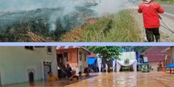 BNPB Himpun Peristiwa Bencana, diantaranya Kebakaran Hutan dan Lahan di Kabupaten Batang Hari dan Banjir di Sarolangun Jambi