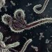 WHO Tetapkan Ebola Sebagai PHEIC, Kemenkes Tingkatkan Pengawasan dan Imbau Masyarakat Tetap Waspada