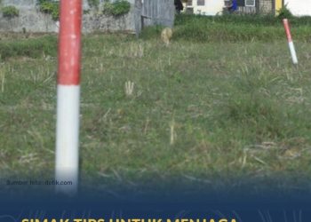 Kementerian ATR/BPN Minta Masyarakat Proaktif  Menjaga Tanah agar Tidak Diserobot Orang Lain