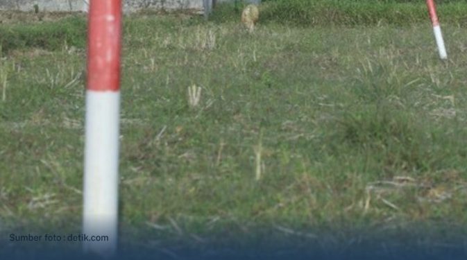 Kementerian ATR/BPN Minta Masyarakat Proaktif  Menjaga Tanah agar Tidak Diserobot Orang Lain