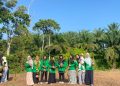 Peduli Lingkungan agar Tetap Hijau, Fakultas Syariah UINFAS Bengkulu Tanam Pohon Kelapa dan Bibit Tanaman
