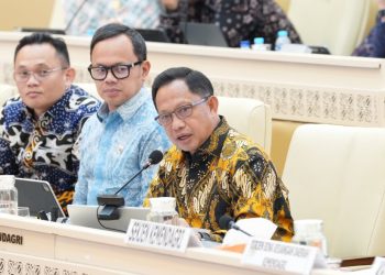 Optimalkan Pelayanan Publik, Mendagri Tekankan Pentingnya Penguatan Kapasitas dan Dukungan terhadap Kepala Daerah