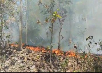 BNPB Sampaikan Perkembangan Situasi dan Penanganan Karhutla di Tanah Air, Salah Satunya di Jambi